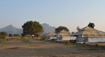 Godwad Leopard Safari Camp, Rajasthan