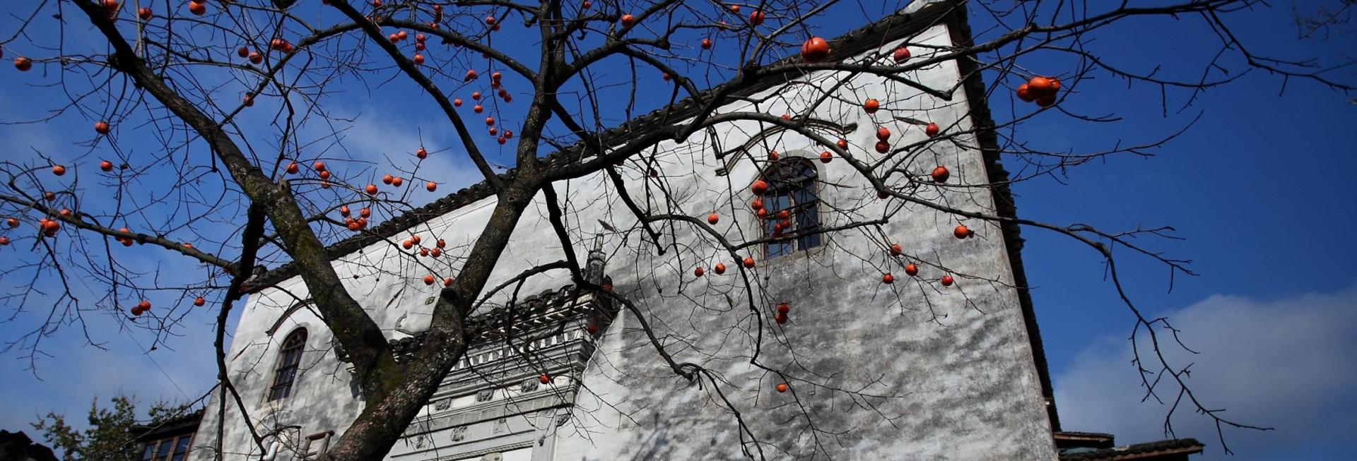 Pig Heaven Inn Bishan, Anhui