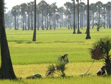 Kampong Cham, Cambodia