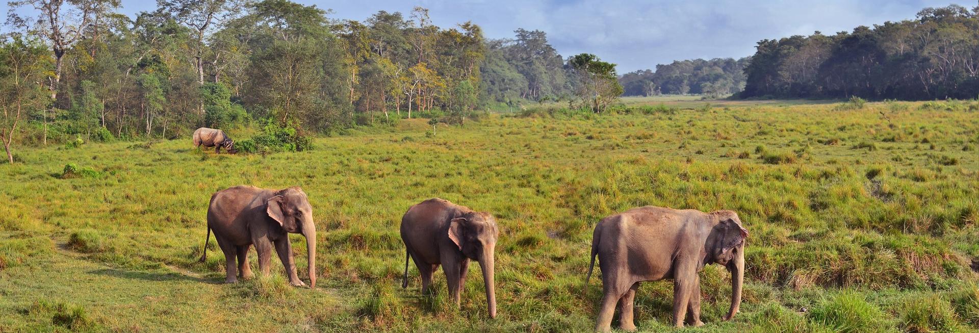 Chitwan National Park