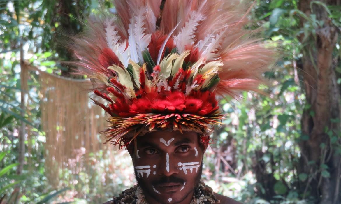 Feathered head-dress, Tufi