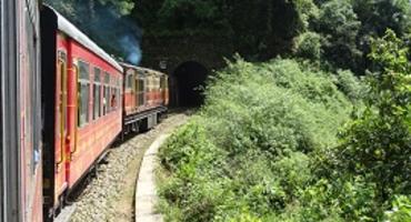 Shimla Toy Train, Shimla