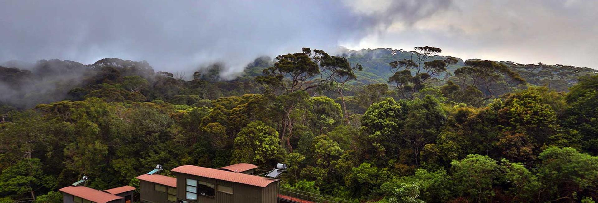 Sinharaja Forest Reserve