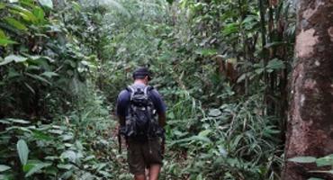 Rainforest trekking, Sabah, Borneo