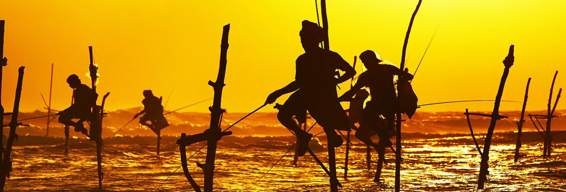 Stick fishermen, Weligama, Sri Lanka