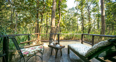 Kanha Jungle Lodge