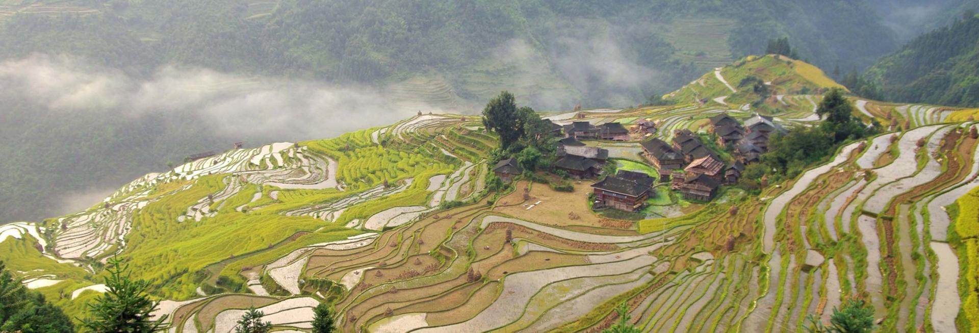 Jiabang Rice Terraces