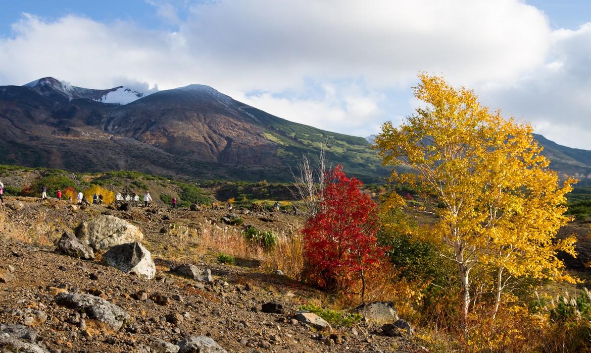 Scenery, Daisetsuzan NP