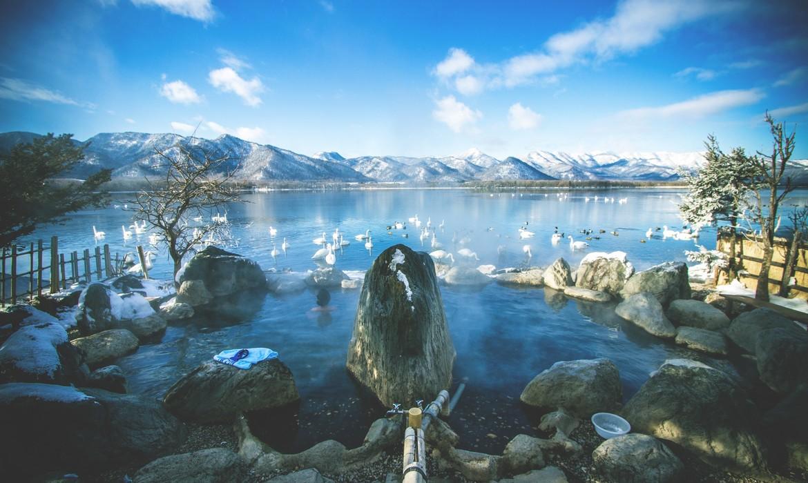 Swans, Lake Kussharo