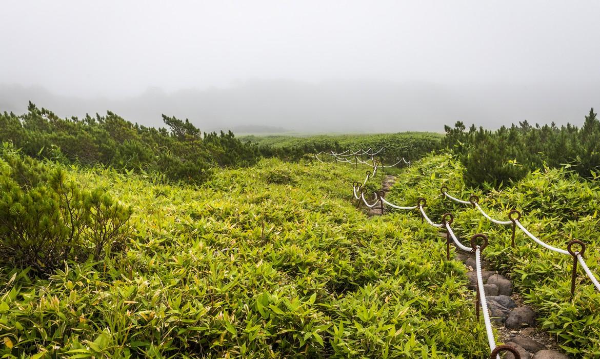 Hiking trail, Lake Rausu