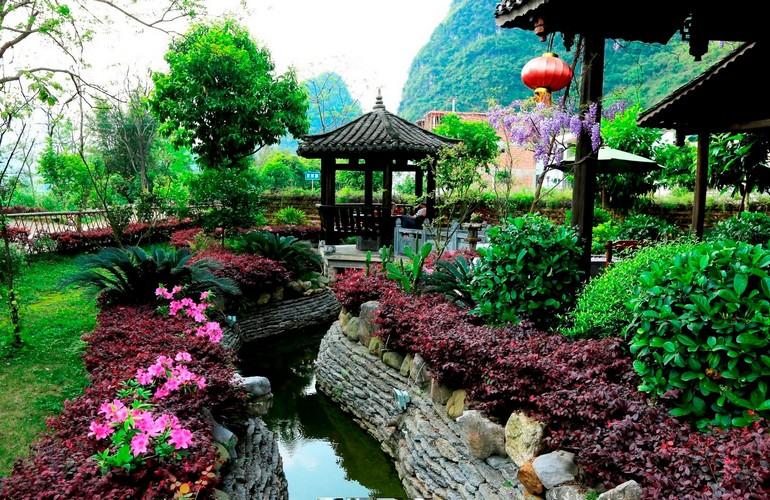 Garden, Yangshuo Tea Cozy