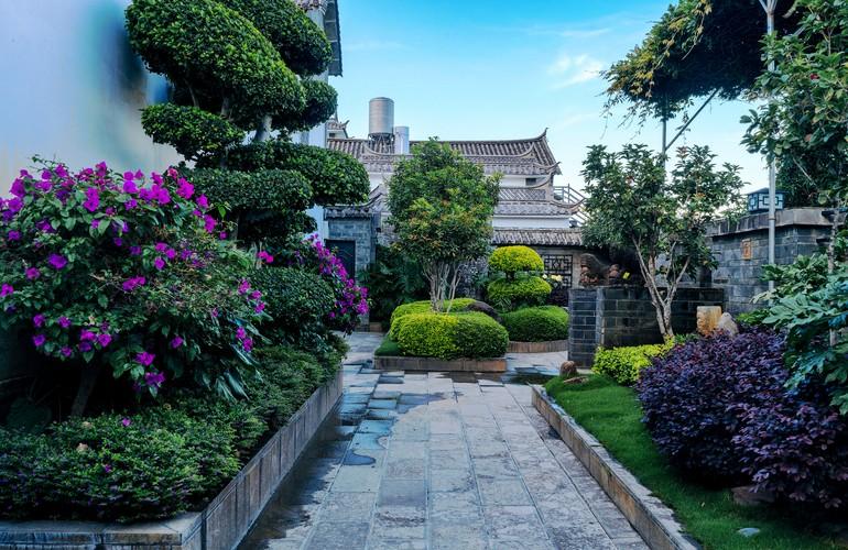 Back courtyard, Linden Centre