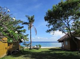 Visit Pamilacan Island and go dolphin watching, Bohol