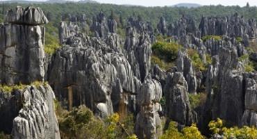 Stone Forest, Kunming