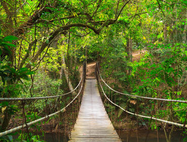 Khao Yai National Park