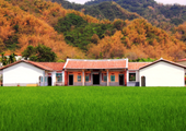 Meinong Yellow & Black Guesthouse