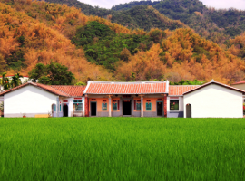 Meinong Yellow & Black Guesthouse