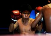 Watch Thai Boxing 
