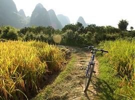 Bike, Guangxi