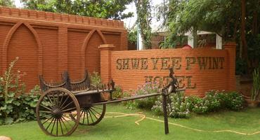 Shwe Yee Pwint