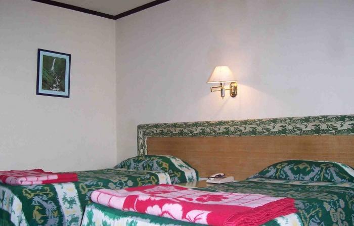Room, Bromo Cottages