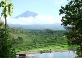 Ijen Resort & Villas