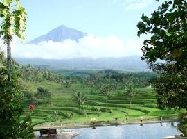 Ijen Resort & Villas