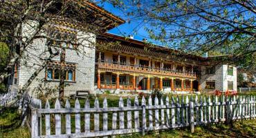 Swiss Guest House