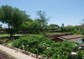Aye Yar River View Resort