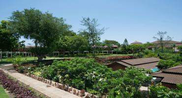 Aye Yar River View Resort