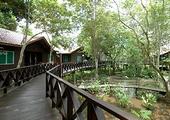 Kinabatangan Riverside Lodge