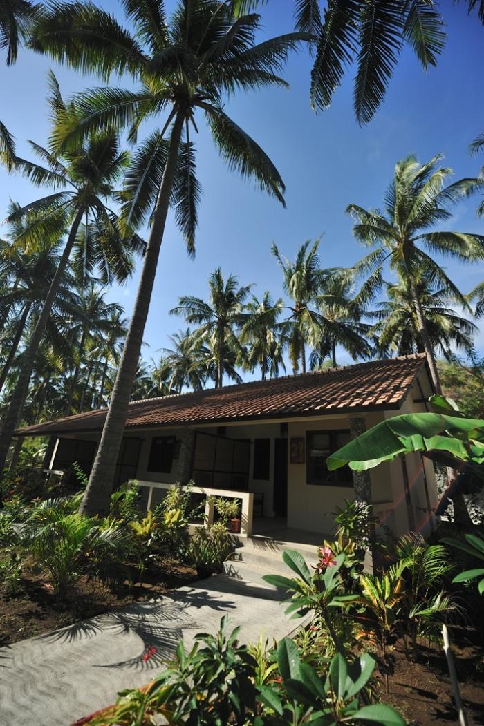 Terrace, Cocotinos Sekotong