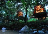 Tabin Wildlife Resort