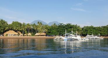 Pura Vida Dive Resort, Dumaguete