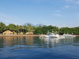 Pura Vida Dive Resort, Dumaguete
