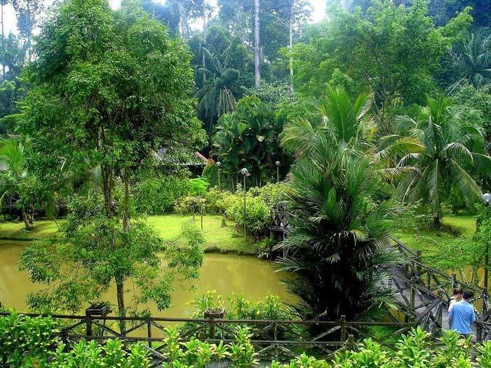 Sepilok Nature Resort