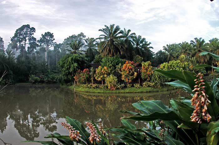 Sepilok Nature Resort