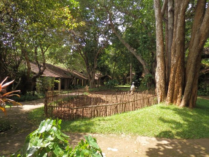 Grounds, Sigiriya Village Hotel