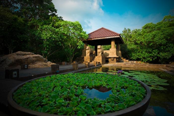 Forest Rock Garden Resort