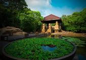 Forest Rock Garden Resort
