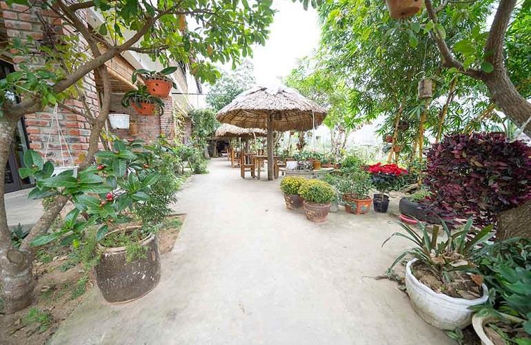 Garden, Jungle Boss Homestay