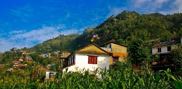 Village Homestay