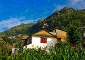 Village Homestay