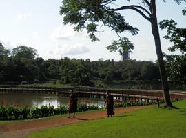 National Kandawgi Gardens, Pyin Oo Lwin