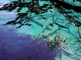 The lakes of Jiuzhaigou