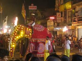 Esala Pera Hera, Kandy