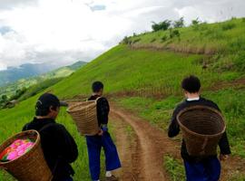 Trekking in fields around the Lanjia Lodge