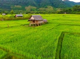 Muang La, Laos