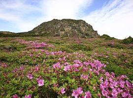 Mt. Hallasan, Jeju Island
