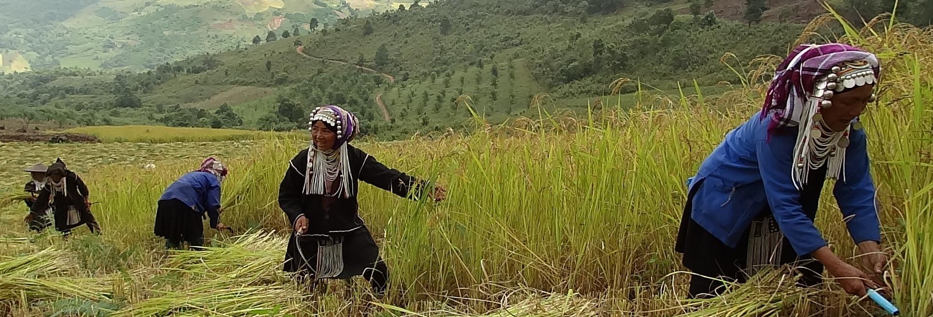 Akha ladies, Kengtung